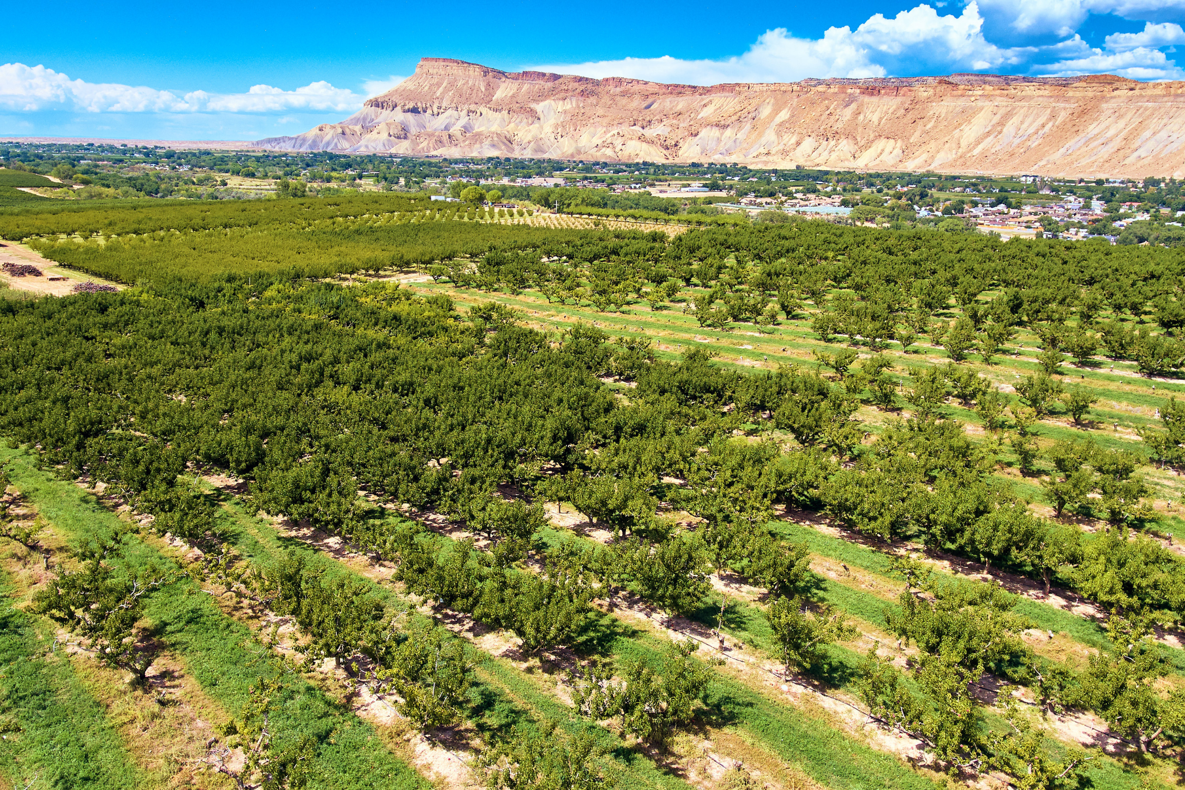 palisade, colorado (2).webp